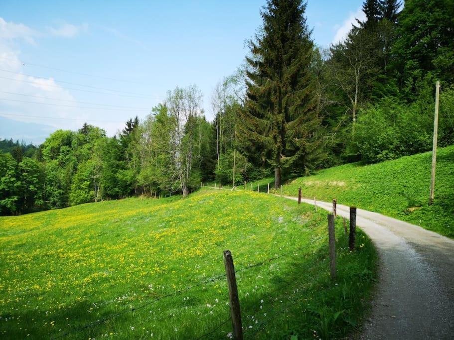 Forest View Apartment In Leissigen By Interlaken With No Kitchen מראה חיצוני תמונה